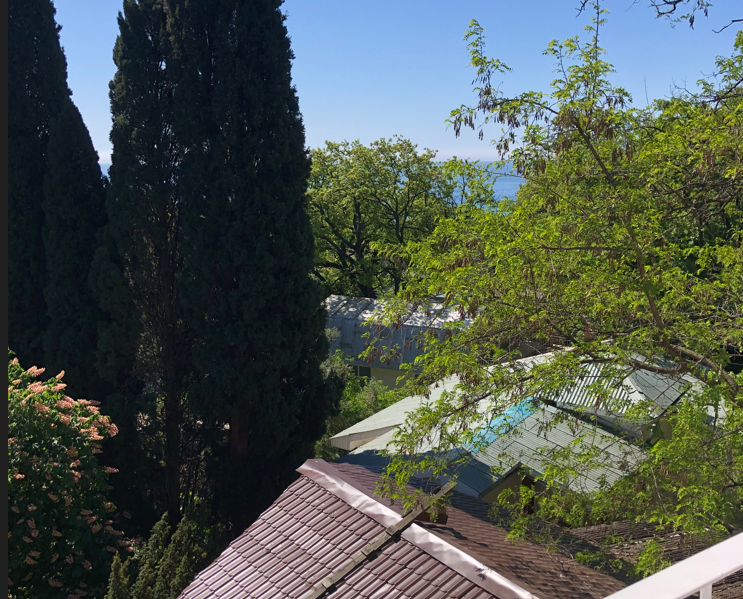 Люкс Студио 3-местный 1-комнатный №8