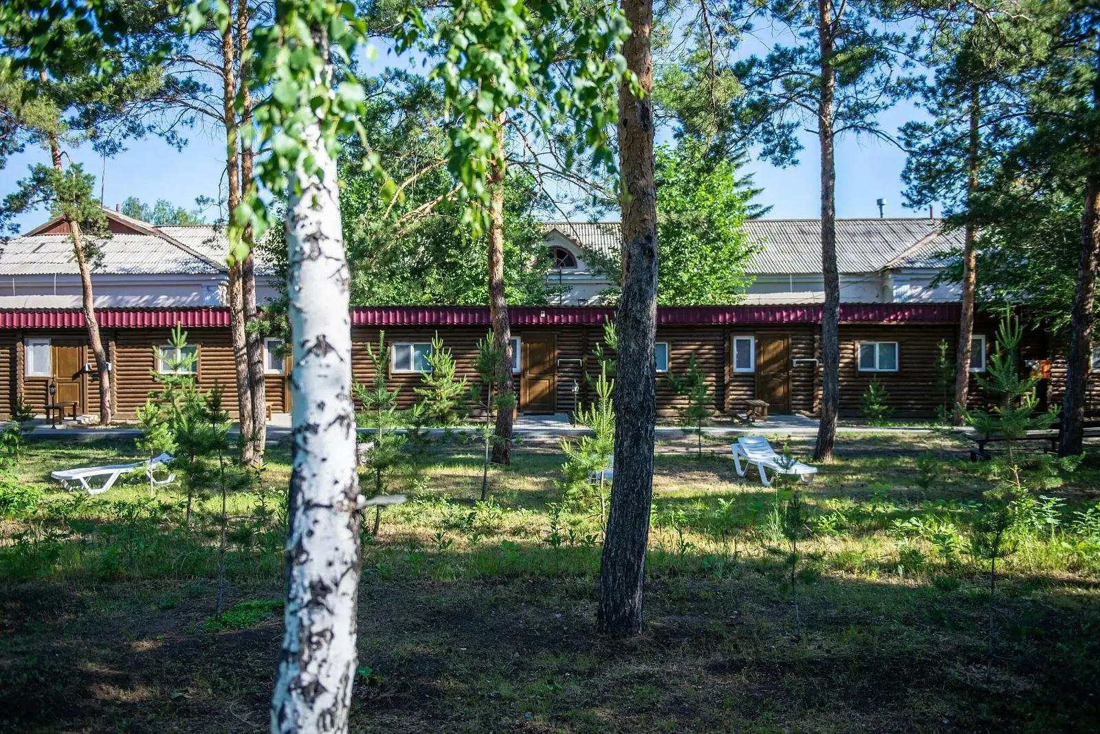 Химик, Алтайский край: фото 5