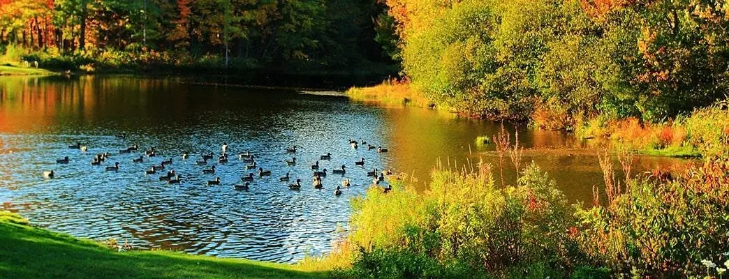 Воздвиженское, Московская область: фото 4