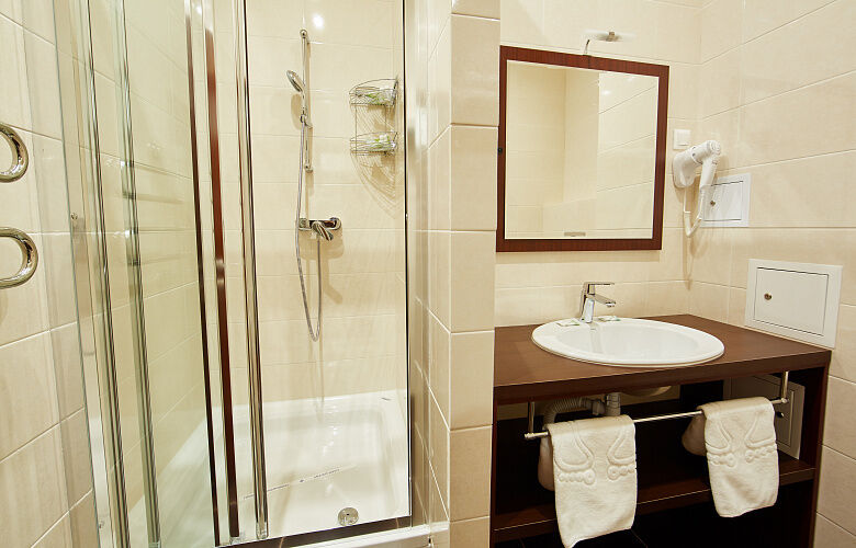 Полулюкс 2-местный