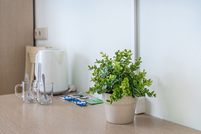 Комната 2-местная (в 3-комнатных Апартаментах, корпус В)