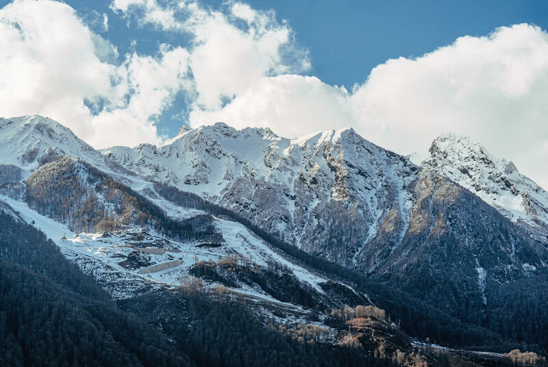 Комната 2-местная (в 3-комнатных Апартаментах, корпус В)