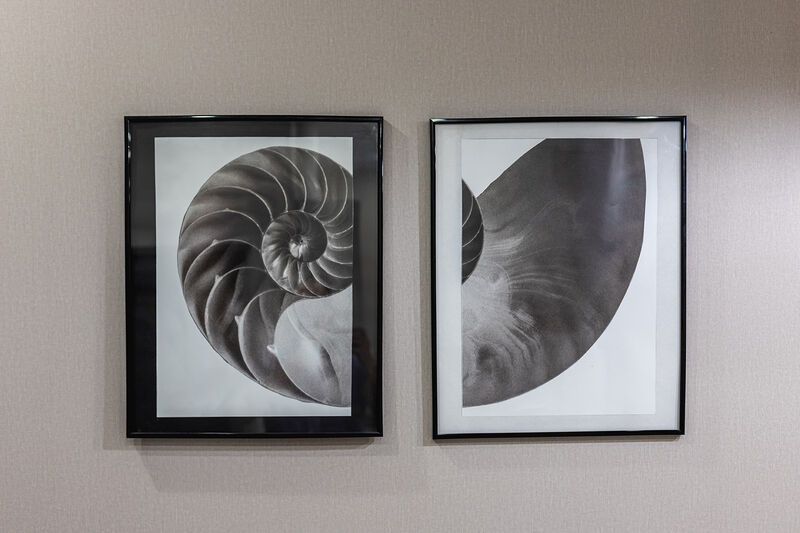 Апартаменты 6-местные (Нагорный тупик, д. 13/А, 110)