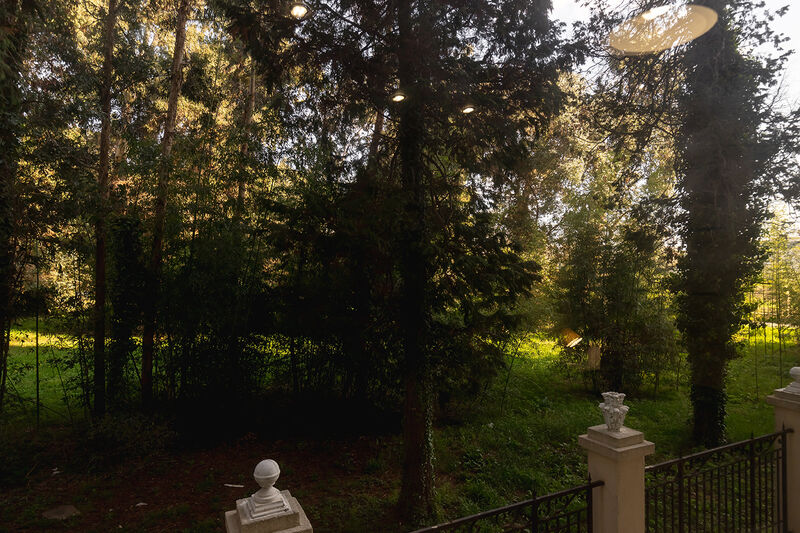 Апартаменты 6-местные (111)