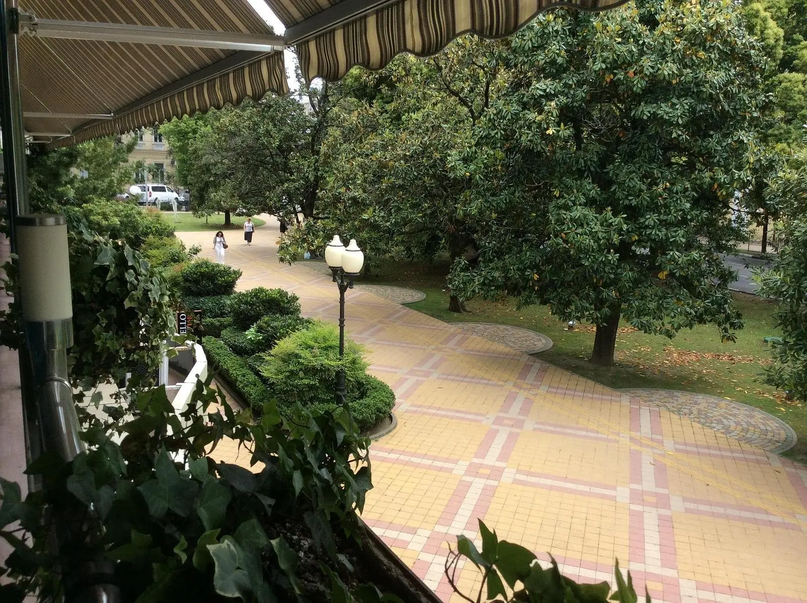 Внешний вид | Сочи (бывш. Магнолия), Краснодарский край