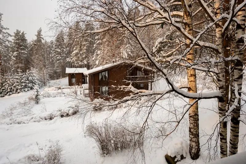 Золотая долина, Ленинградская область: фото 5