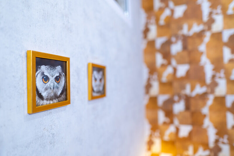 Апартаменты 4-местные (ул. Эстонская, д. 37/3, 009)