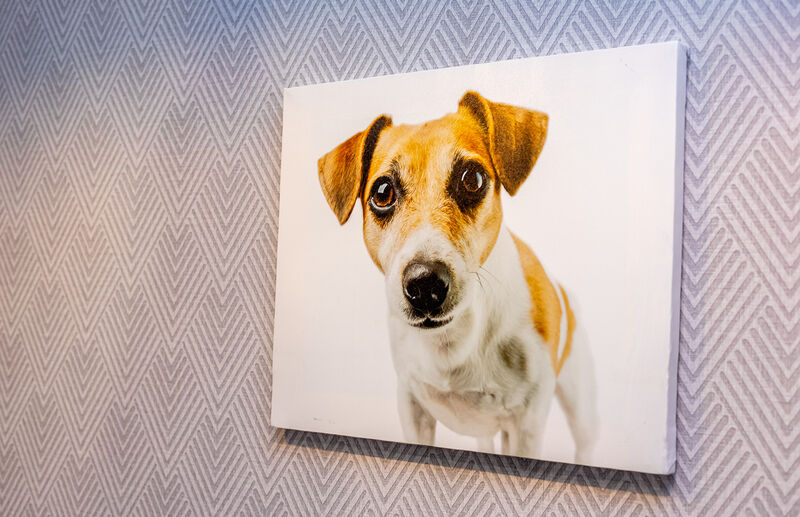 Апартаменты 8-местные (ул. Эстонская, д. 37/6, 034)