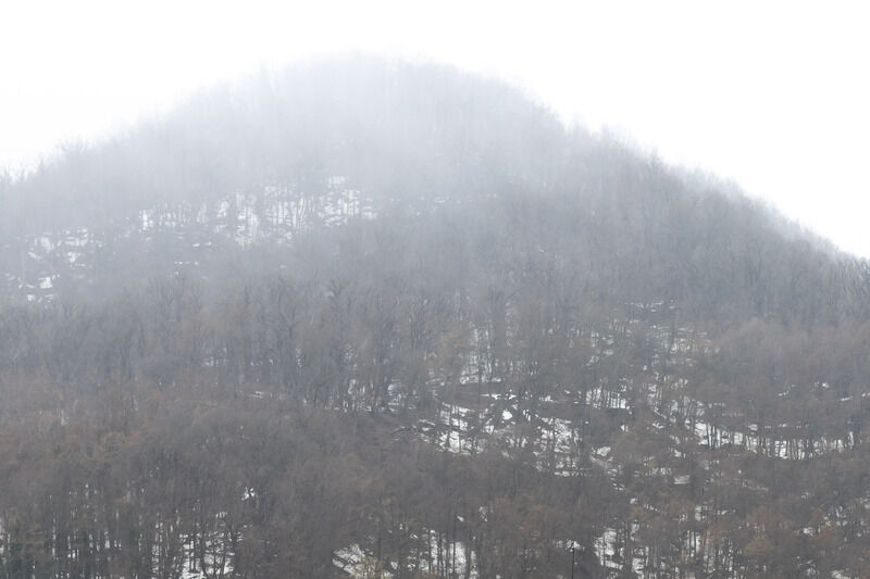 Апартаменты 4-местные (ул. Эстонская, д. 37/4, 024)